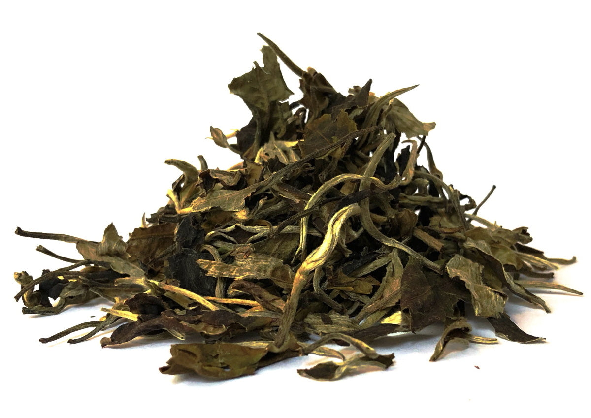 White Moonlight Yunnan hvid oolong te økologisk