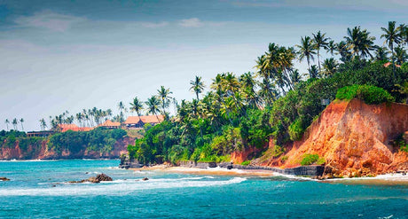 En verden af te: Sri Lanka