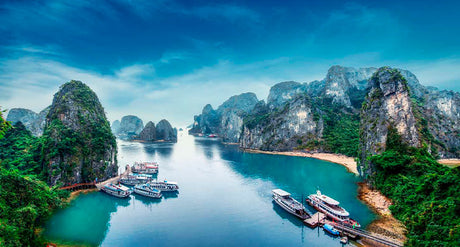 En verden af te: Vietnam