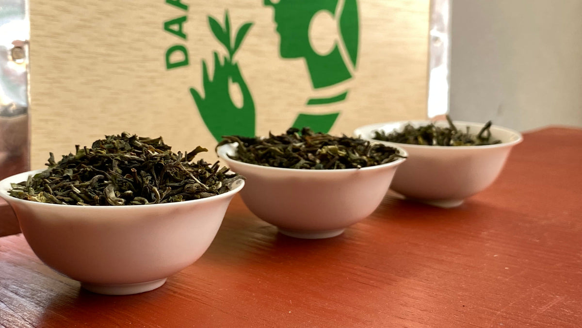 First Flush Darjeeling 2026