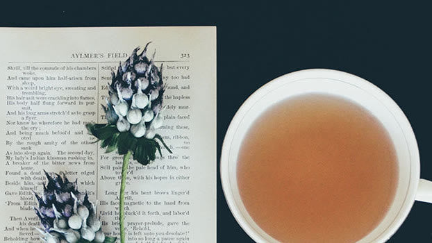 Tea filters 