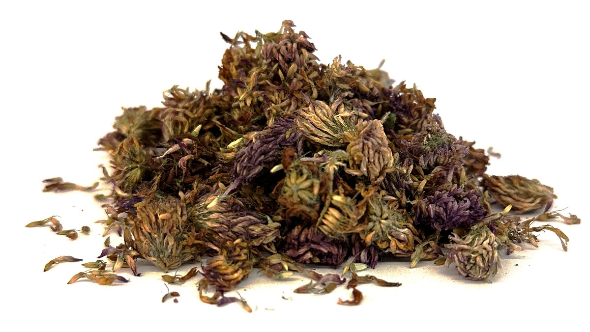 Red Clover